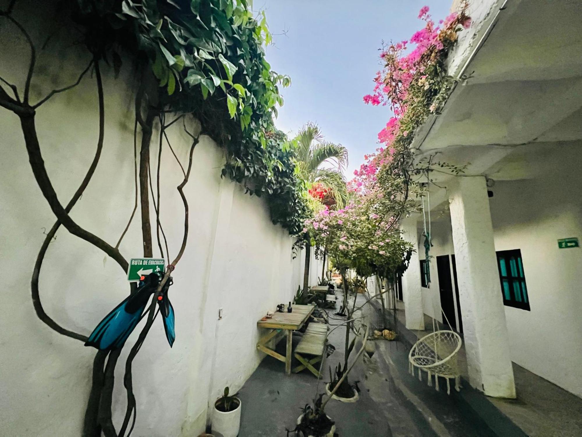 Casa Torices Real 12 Vandrarhem Cartagena Exteriör bild